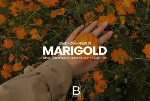 marigold-preset